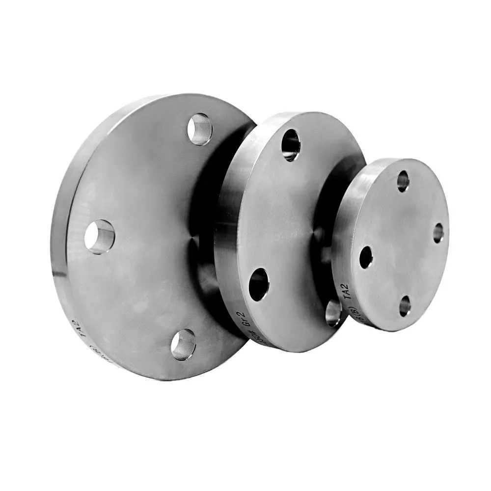 Titanium Flange Pipe Fittings Flange Forged Flanged Housings Flanges Machining Parts 